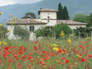 Top Spoleto Top Spoleto