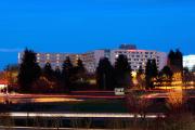 Top Tigard