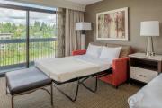 Top Bellevue