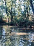 Azahares Apartamento turístico