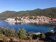 Top Smokvica