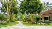 Top Banyuwangi