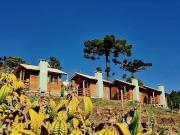 Top São Francisco de Paula