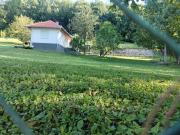 Top Petrovac na Mlavi