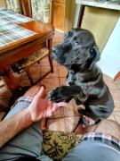 Top Varnsdorf Top Varnsdorf