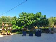 Top Castelnuovo Cilento