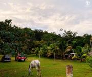 Top Tarapoto