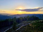 Top Stary Waliszów Top Stary Waliszów