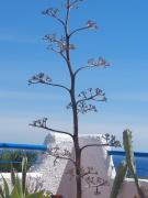 Top La Isleta del Moro