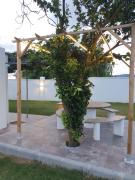Top Ribadeo