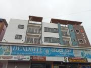 Top Amargol