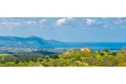 Top Paphos City