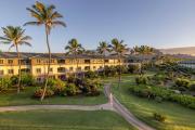 Top Koloa