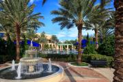 Top Orlando