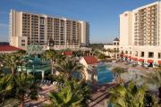 Top Orlando
