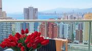 Top Benidorm