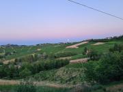 Top San Marzano Oliveto