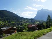 Top Grindelwald