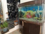 Top Chennai Top Chennai
