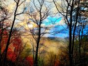 Top Sevierville Top Sevierville