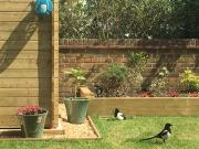 2 bedroom house with lovely garden and views