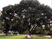 Top Santiago de los Caballeros