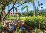 Top Tucson