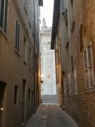 Top Urbino