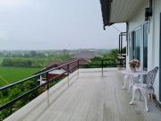 Top Ban Pa Tung (7) Top Ban Pa Tung (7)