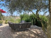 Top San Marzano Oliveto