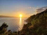 Top Marusici Top Marusici