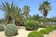 Top Denia