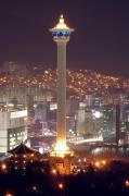 Top Busan Top Busan