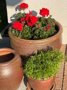 Top Weiler-Simmerberg