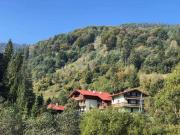 Лісова казка Лісова казка