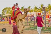 Top Ajmer Top Ajmer