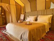 Arena Desert Camp & Activitys