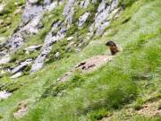 Top Cauterets