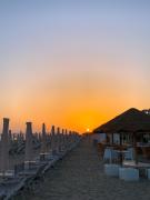 Top Castagneto Carducci