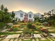 Top Bao Loc Top Bao Loc