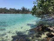 Walk everywhere! Family beach house in Pottsville