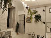 Top Alcalá de los Gazules