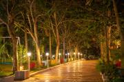 Top Dandeli