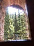 Top Arco