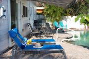 Top Palm Harbor