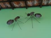 Maison de plage à Santo Antonio