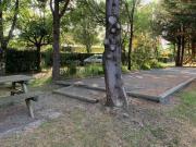 Top Saint-Cyr-en-Talmondais