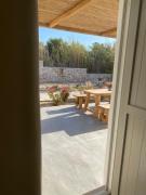 Top Agia Irini Paros