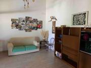 Top Ripalta Top Ripalta