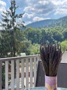 SILVER APARTMENT Sinaia